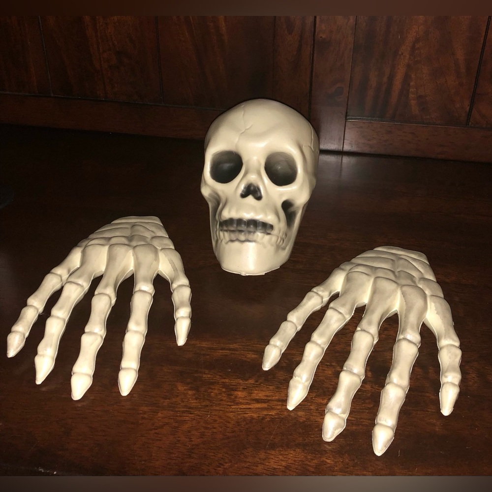 ☠️ SPOOKY SKELETON DECOR SET ☠️